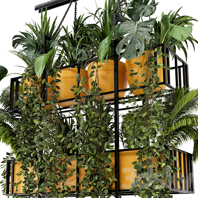 Indoor Hanging Plants in Metal Box – Set 103 3DS Max Model - thumbnail 5