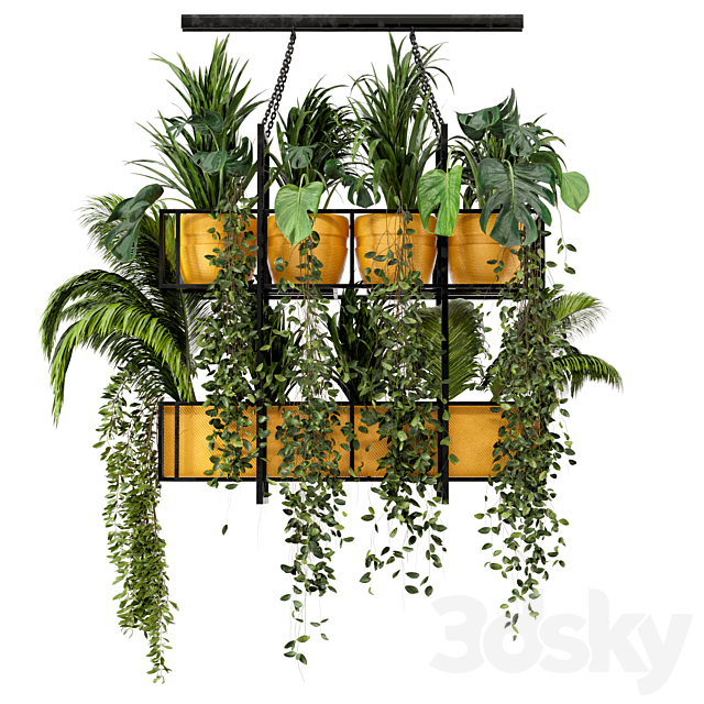 Indoor Hanging Plants in Metal Box – Set 103 3DS Max Model - thumbnail 6