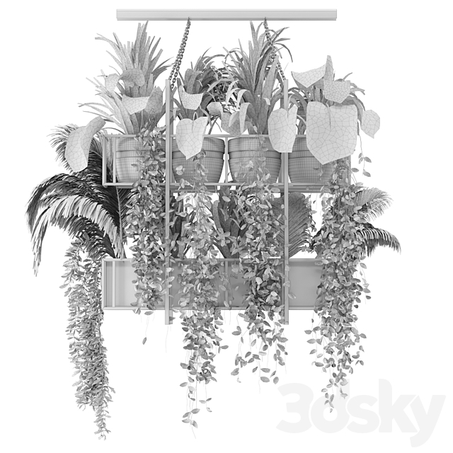 Indoor Hanging Plants in Metal Box – Set 103 3DS Max Model - thumbnail 7