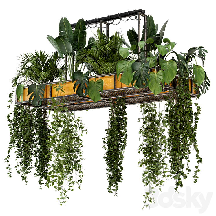 Indoor Hanging Plants in Metal Box – Set 146 3DS Max - thumbnail 1