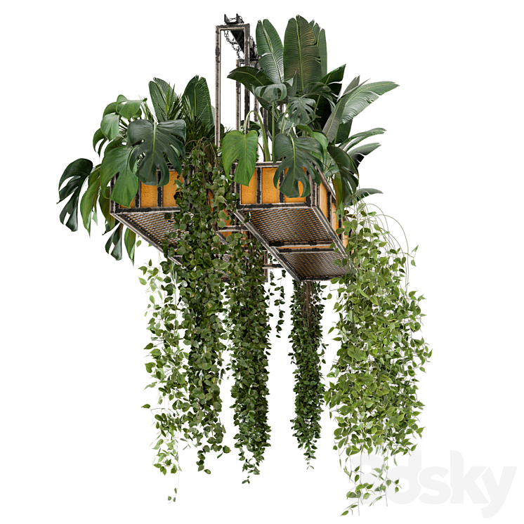 Indoor Hanging Plants in Metal Box – Set 146 3DS Max - thumbnail 2