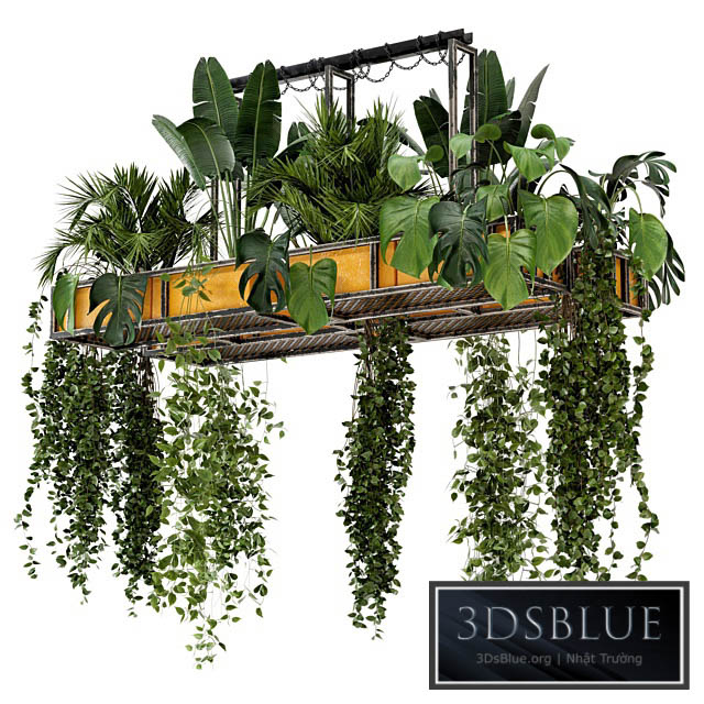 Indoor Hanging Plants in Metal Box – Set 146 3DS Max - thumbnail 3