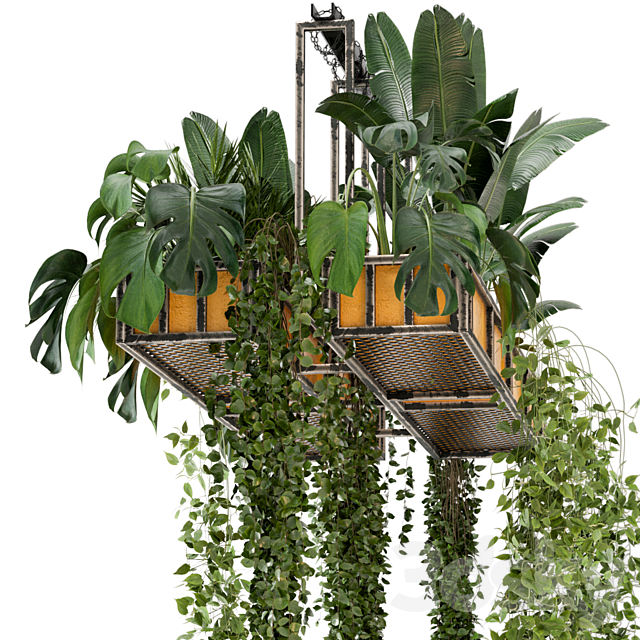 Indoor Hanging Plants in Metal Box – Set 146 3DSMax File - thumbnail 5