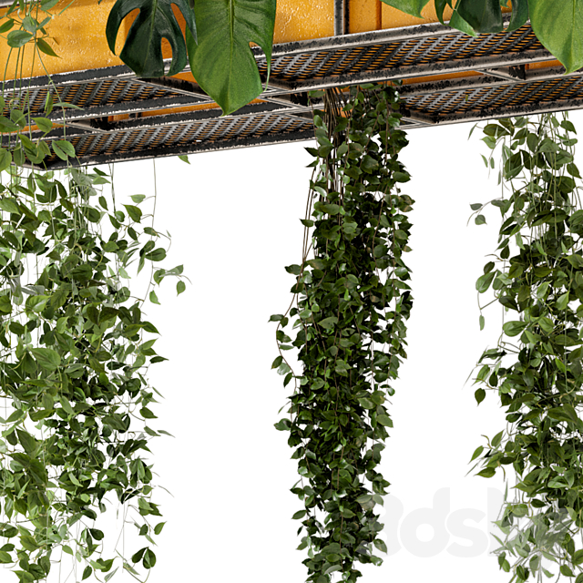 Indoor Hanging Plants in Metal Box – Set 146 3DSMax File - thumbnail 6