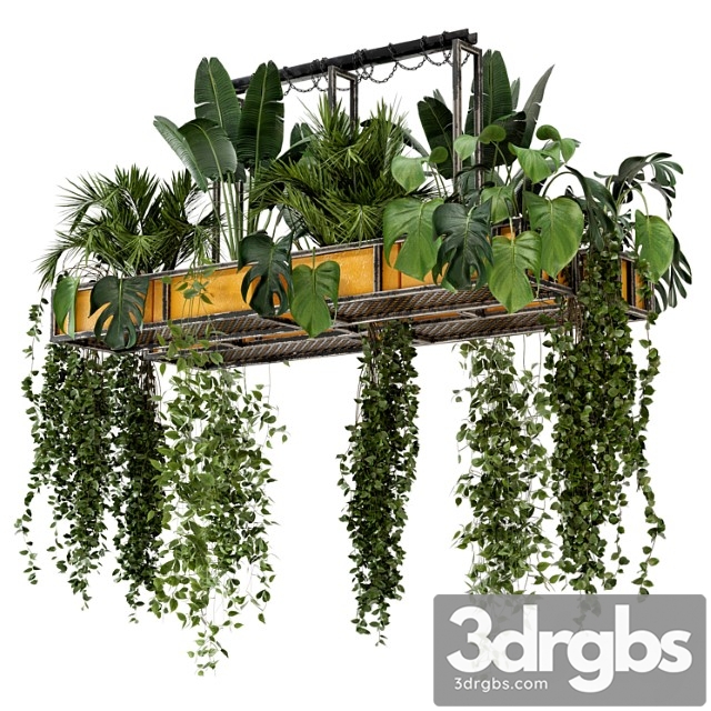 Indoor hanging plants in metal box – set 146 - thumbnail 1