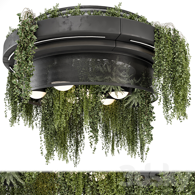 Indoor Hanging Plants in Metal Box – Set 1506 3ds Max - thumbnail 1