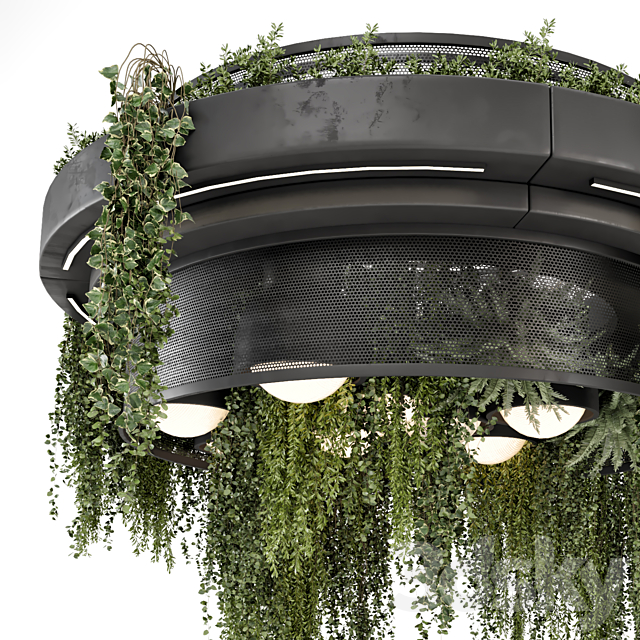 Indoor Hanging Plants in Metal Box – Set 1506 3ds Max - thumbnail 2