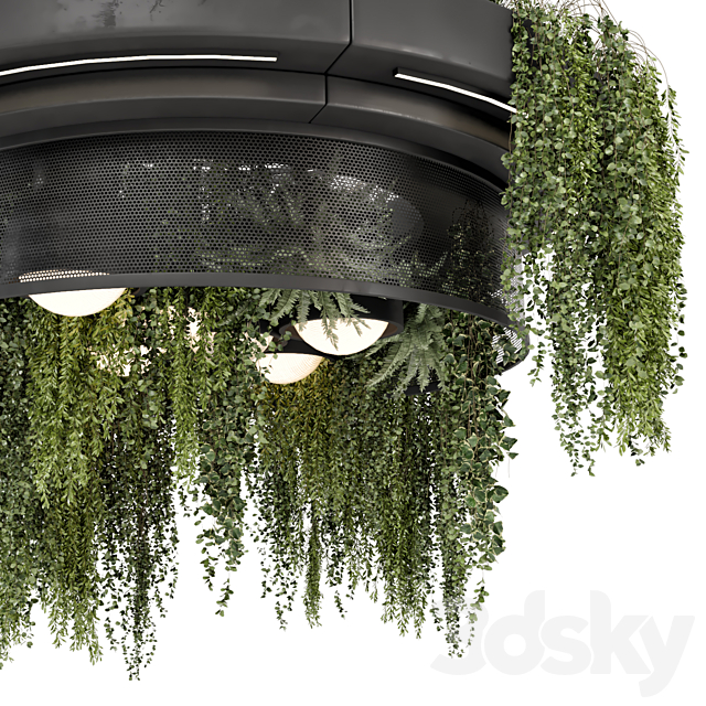 Indoor Hanging Plants in Metal Box – Set 1506 3ds Max - thumbnail 3