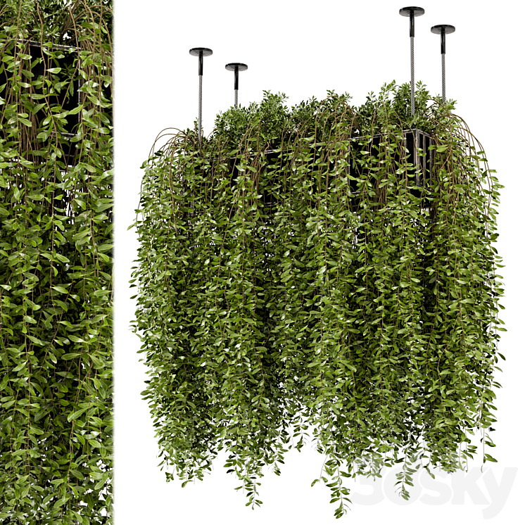 Indoor Hanging Plants in Metal Box – Set 192 3DS Max - thumbnail 1