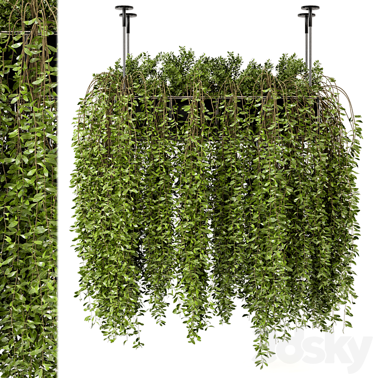 Indoor Hanging Plants in Metal Box – Set 192 3DS Max - thumbnail 2