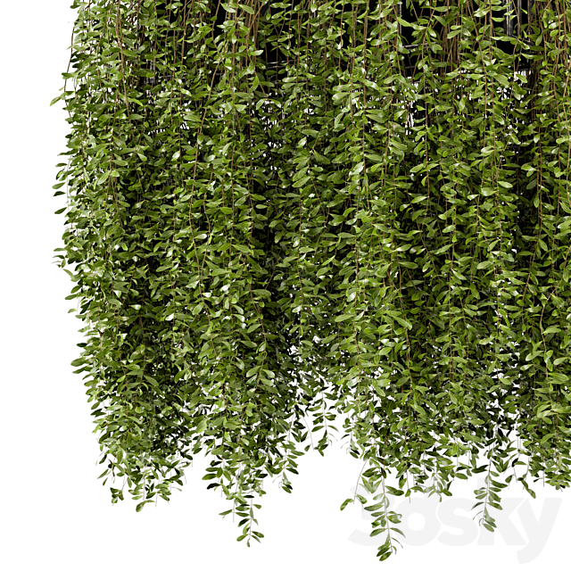 Indoor Hanging Plants in Metal Box – Set 192 3DSMax File - thumbnail 3