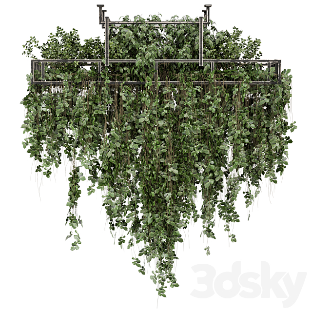 Indoor Hanging Plants in Metal Box – Set 2009 3DS Max Model - thumbnail 2