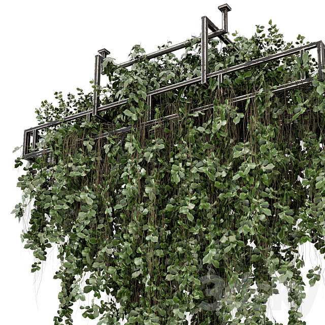 Indoor Hanging Plants in Metal Box – Set 2009 3DS Max Model - thumbnail 3