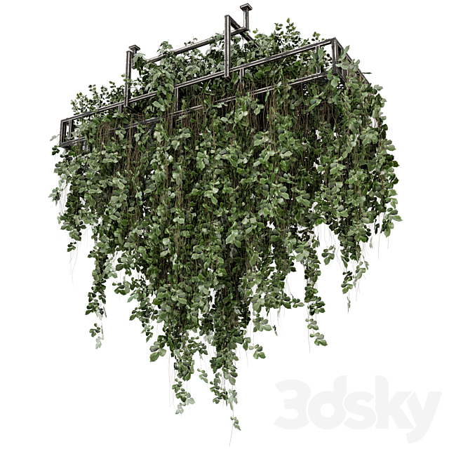 Indoor Hanging Plants in Metal Box – Set 2009 3DS Max Model - thumbnail 4