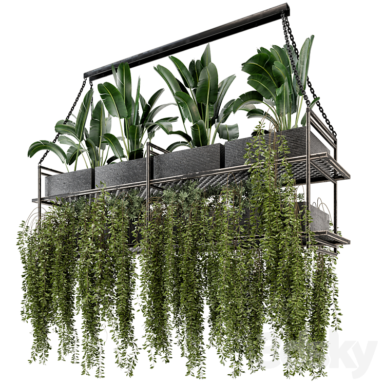 Indoor Hanging Plants in Metal Box – Set 269 3DS Max Model - thumbnail 1