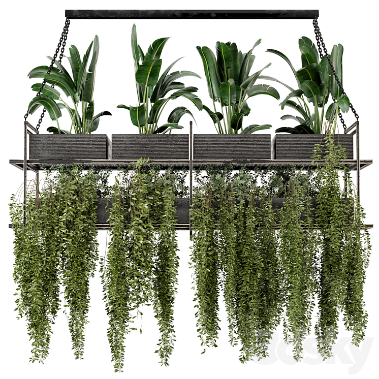 Indoor Hanging Plants in Metal Box – Set 269 3DS Max Model - thumbnail 2