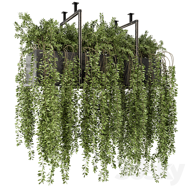 Indoor Hanging Plants in Metal Box – Set 303 3ds Max - thumbnail 1