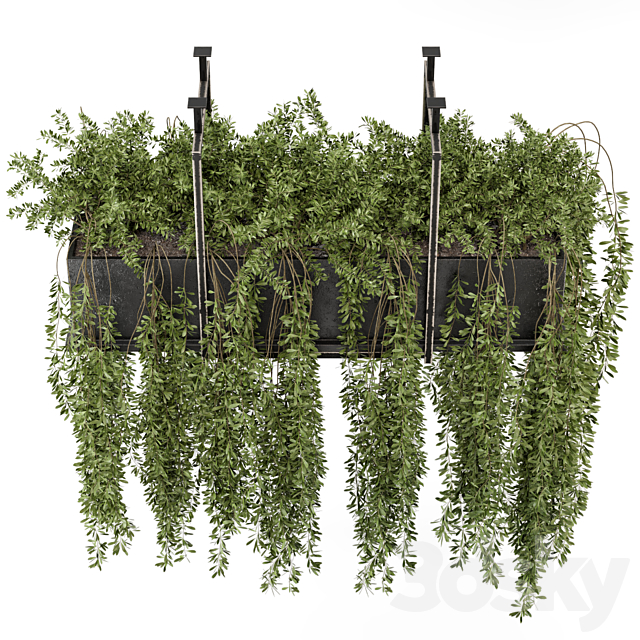 Indoor Hanging Plants in Metal Box – Set 303 3ds Max - thumbnail 2