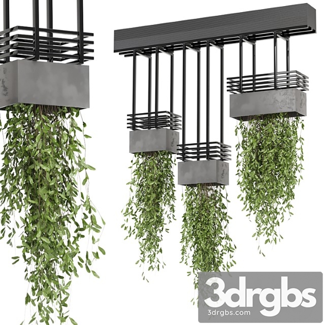 Indoor hanging plants in metal box  – set 682 - thumbnail 1