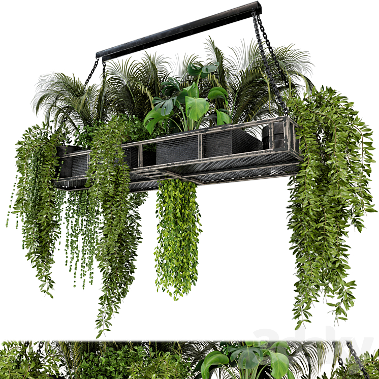 Indoor Hanging Plants in Metal Box – Set 71 3DS Max - thumbnail 1