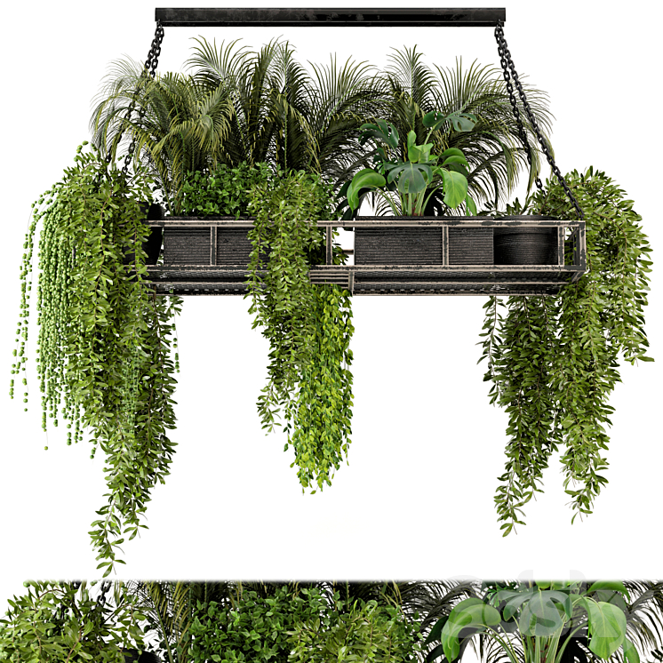 Indoor Hanging Plants in Metal Box – Set 71 3DS Max - thumbnail 2