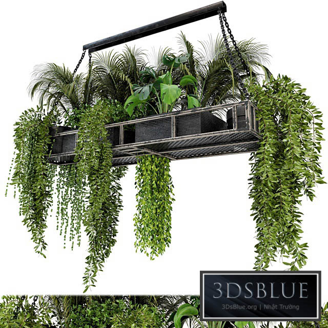 Indoor Hanging Plants in Metal Box – Set 71 3DS Max - thumbnail 3