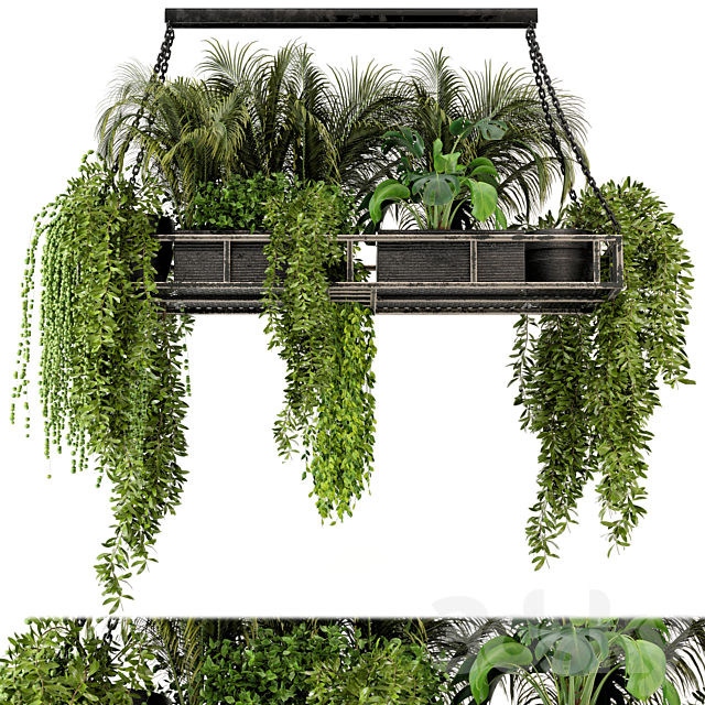 Indoor Hanging Plants in Metal Box – Set 71 3DSMax File - thumbnail 2