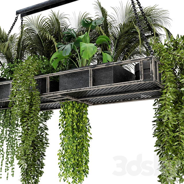 Indoor Hanging Plants in Metal Box – Set 71 3DSMax File - thumbnail 3