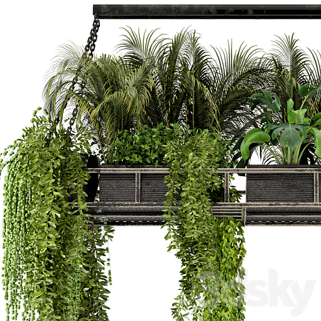 Indoor Hanging Plants in Metal Box – Set 71 3DSMax File - thumbnail 4