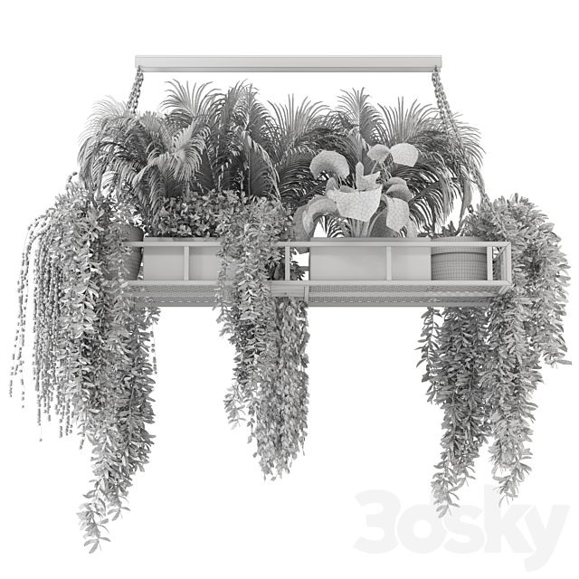 Indoor Hanging Plants in Metal Box – Set 71 3DSMax File - thumbnail 5