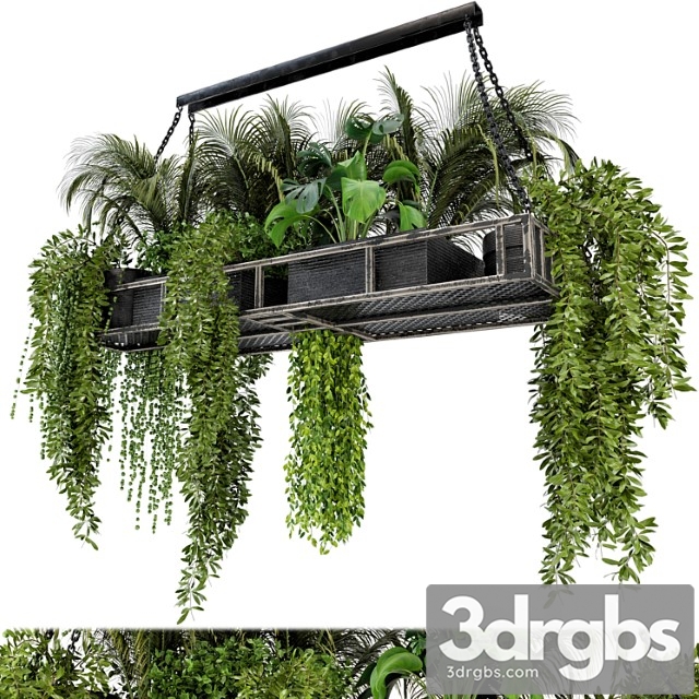 Indoor hanging plants in metal box – set 71 - thumbnail 1