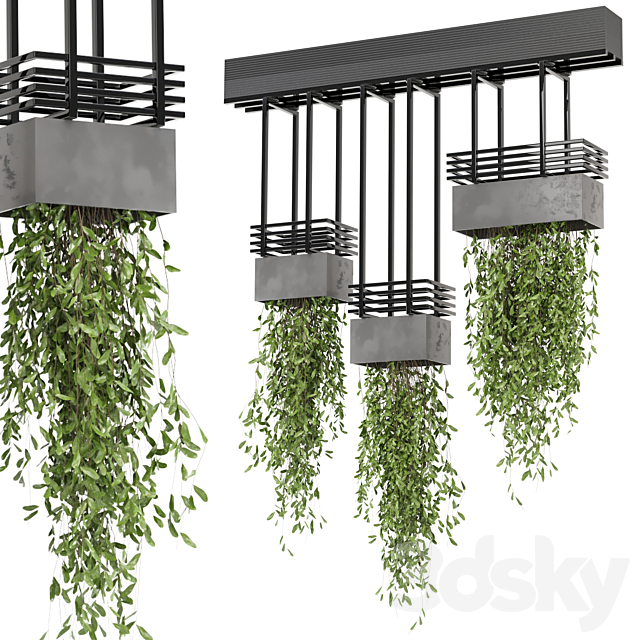 indoor hanging plants in metal box_ – Set 682 3ds Max - thumbnail 1