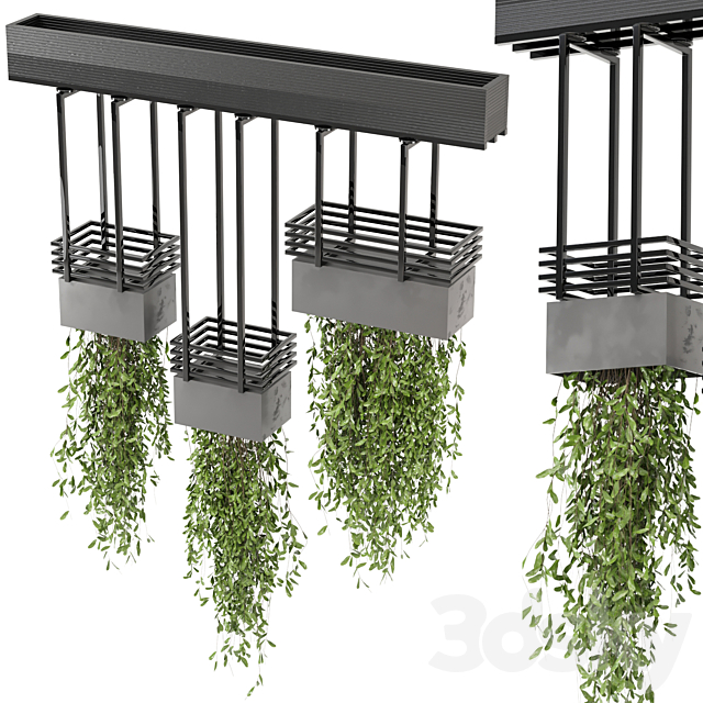 indoor hanging plants in metal box_ – Set 682 3ds Max - thumbnail 2