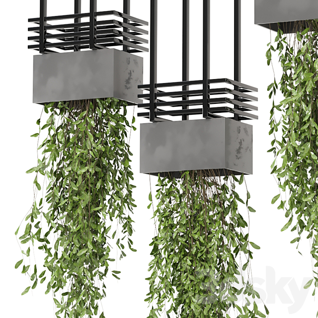 indoor hanging plants in metal box_ – Set 682 3ds Max - thumbnail 3