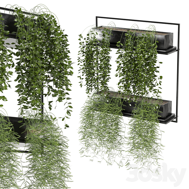 indoor hanging plants in metal box_set 142 3DS Max Model - thumbnail 3