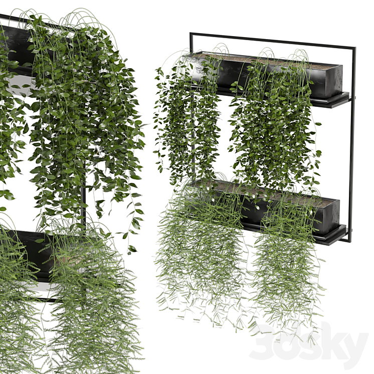 indoor hanging plants in metal box_set 142 3DS Max - thumbnail 1