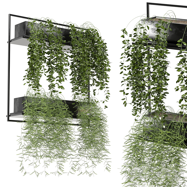 indoor hanging plants in metal box_set 142 3DS Max - thumbnail 2