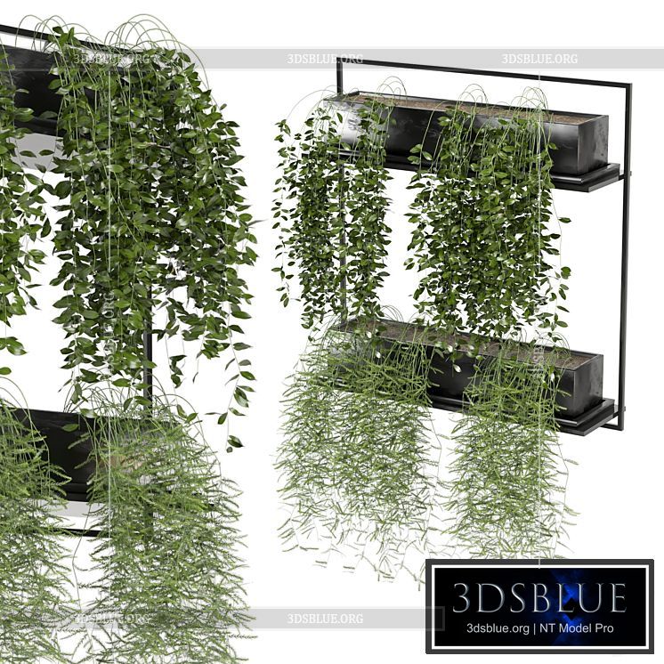 indoor hanging plants in metal box_set 142 3DS Max - thumbnail 3