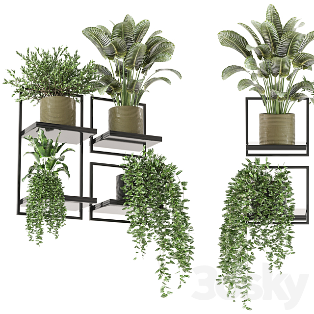 indoor hanging plants in metal box_set 332 3ds Max - thumbnail 1