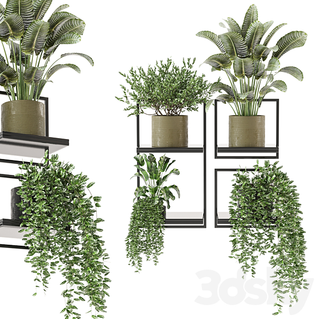 indoor hanging plants in metal box_set 332 3ds Max - thumbnail 2