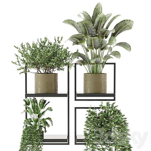 indoor hanging plants in metal box_set 332 3ds Max - thumbnail 3