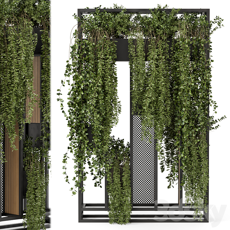 Indoor Hanging Plants in Metal Stand – Set 1005 3DS Max Model - thumbnail 2