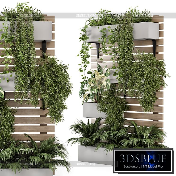 Indoor Hanging Plants in Metal Stand – Set 1131 3DS Max - thumbnail 3