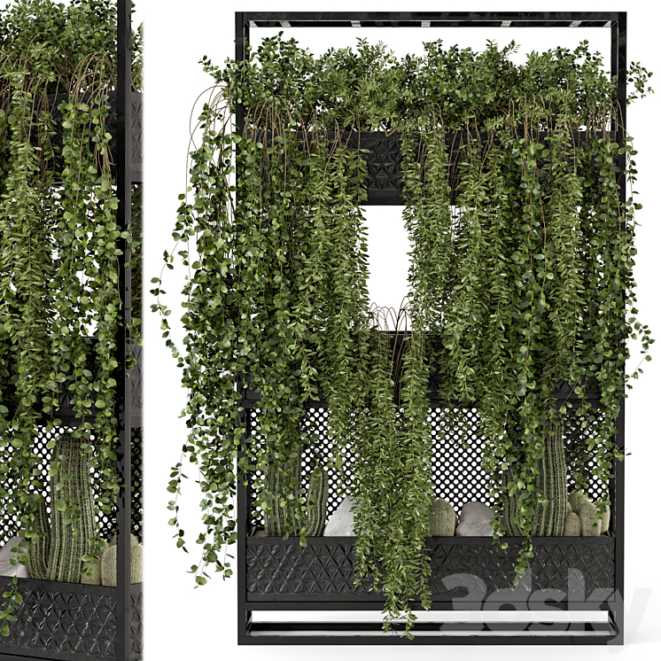 Indoor Hanging Plants in Metal Stand – Set 440 3DS Max Model - thumbnail 2