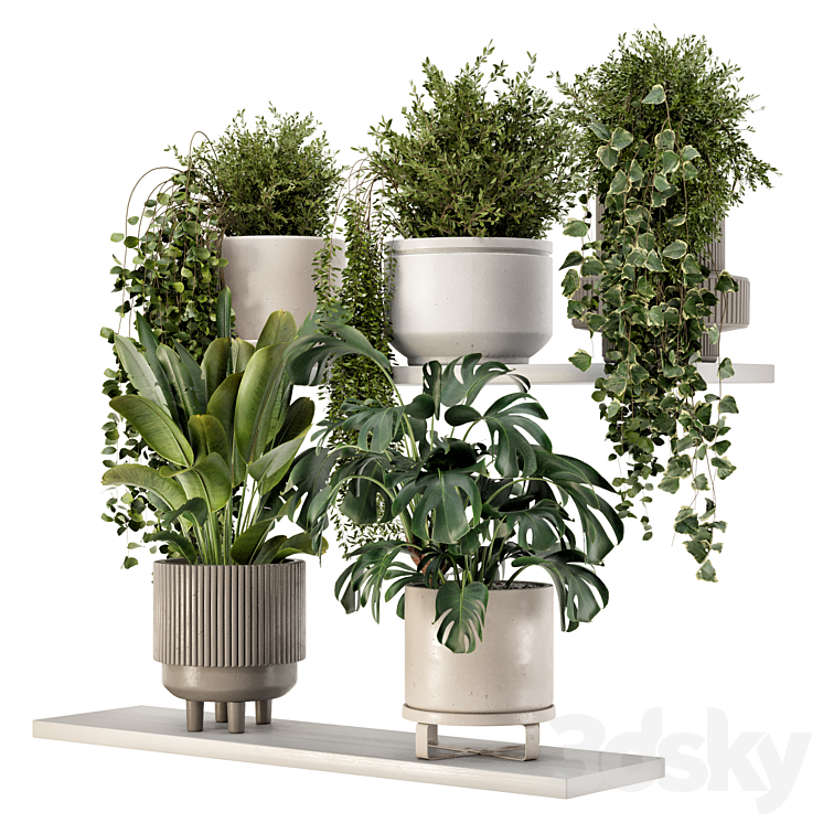 Indoor Hanging Plants in rusty Concrete Pot – Set 909 3DS Max Model - thumbnail 2
