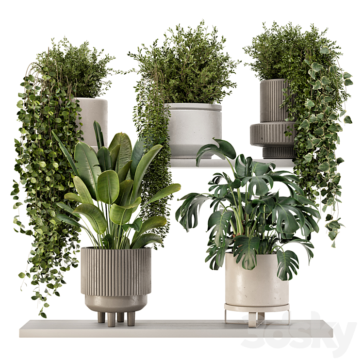 Indoor Hanging Plants in rusty Concrete Pot – Set 909 3DS Max - thumbnail 1