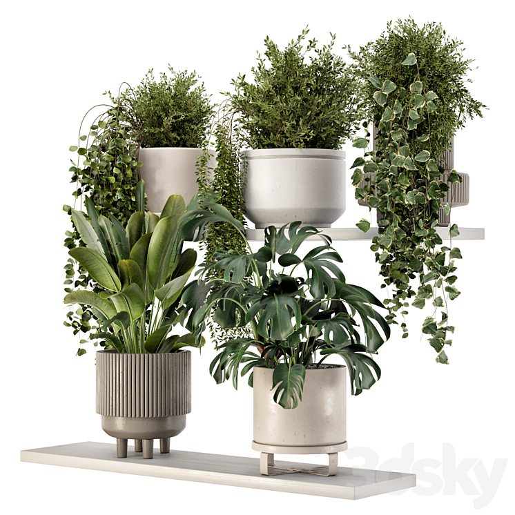 Indoor Hanging Plants in rusty Concrete Pot – Set 909 3DS Max - thumbnail 2