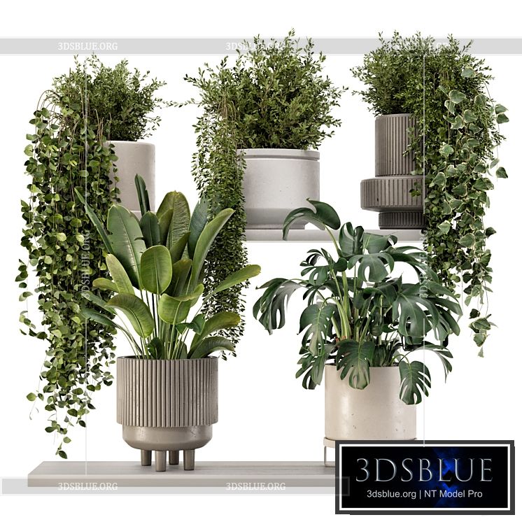 Indoor Hanging Plants in rusty Concrete Pot – Set 909 3DS Max - thumbnail 3