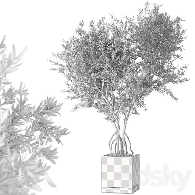 Indoor living plant in a pot 05 3DS Max Model - thumbnail 6