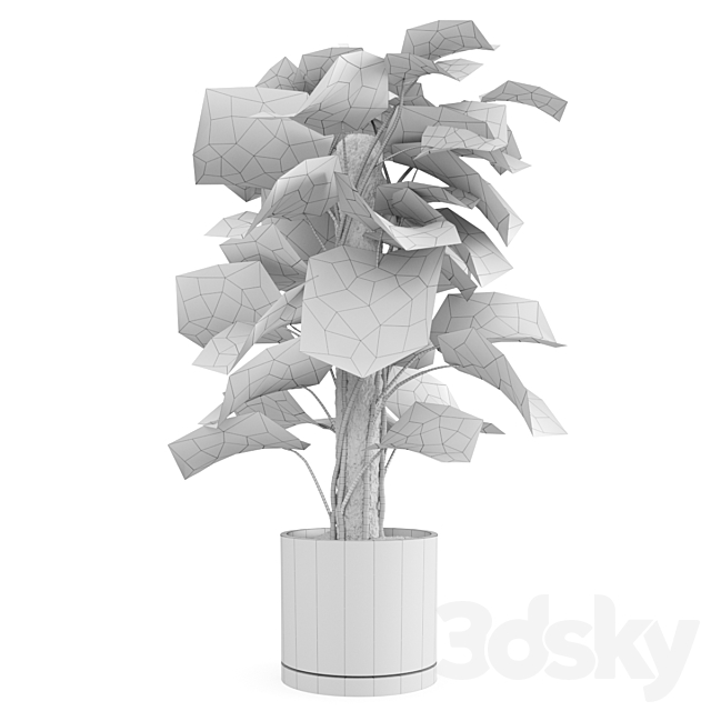 Indoor Monstera Plant 3DS Max Model - thumbnail 5